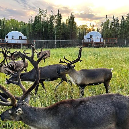 Pleasant Valley Pleasant Acres Reindeer Ranchヴィラ エクステリア 写真