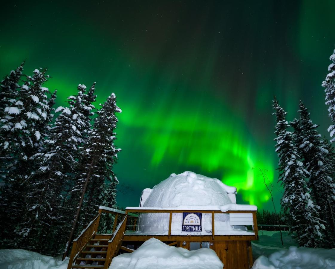 Pleasant Valley Pleasant Acres Reindeer Ranchヴィラ エクステリア 写真