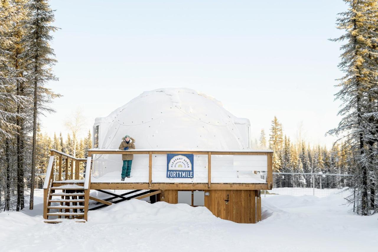 Pleasant Valley Pleasant Acres Reindeer Ranchヴィラ エクステリア 写真
